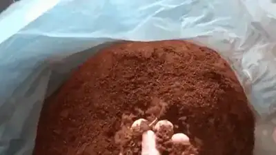 Pó de coco para substrato — Carve Substratos